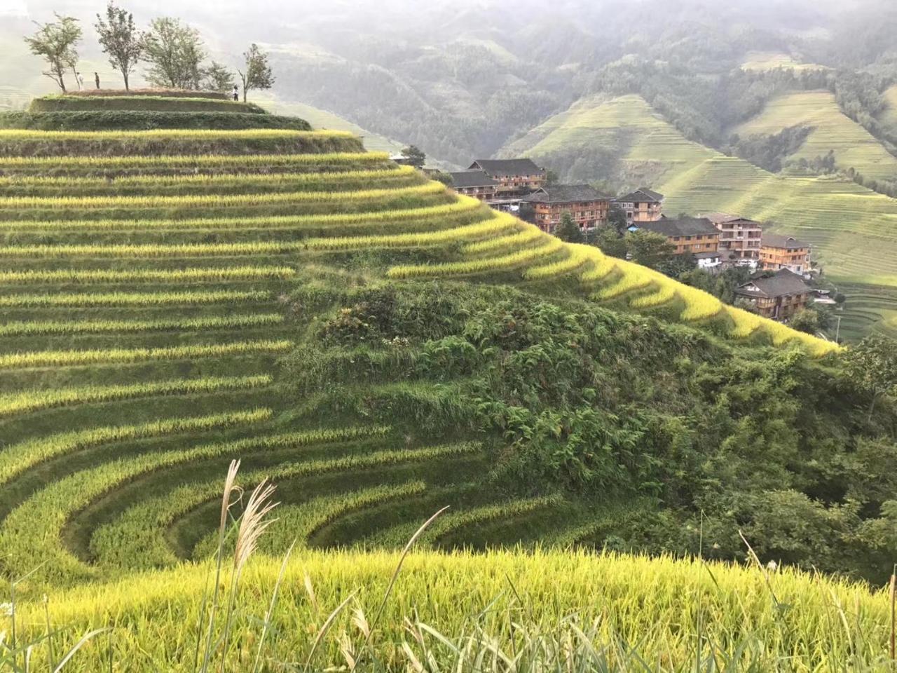 Rice View Villa Longsheng Extérieur photo