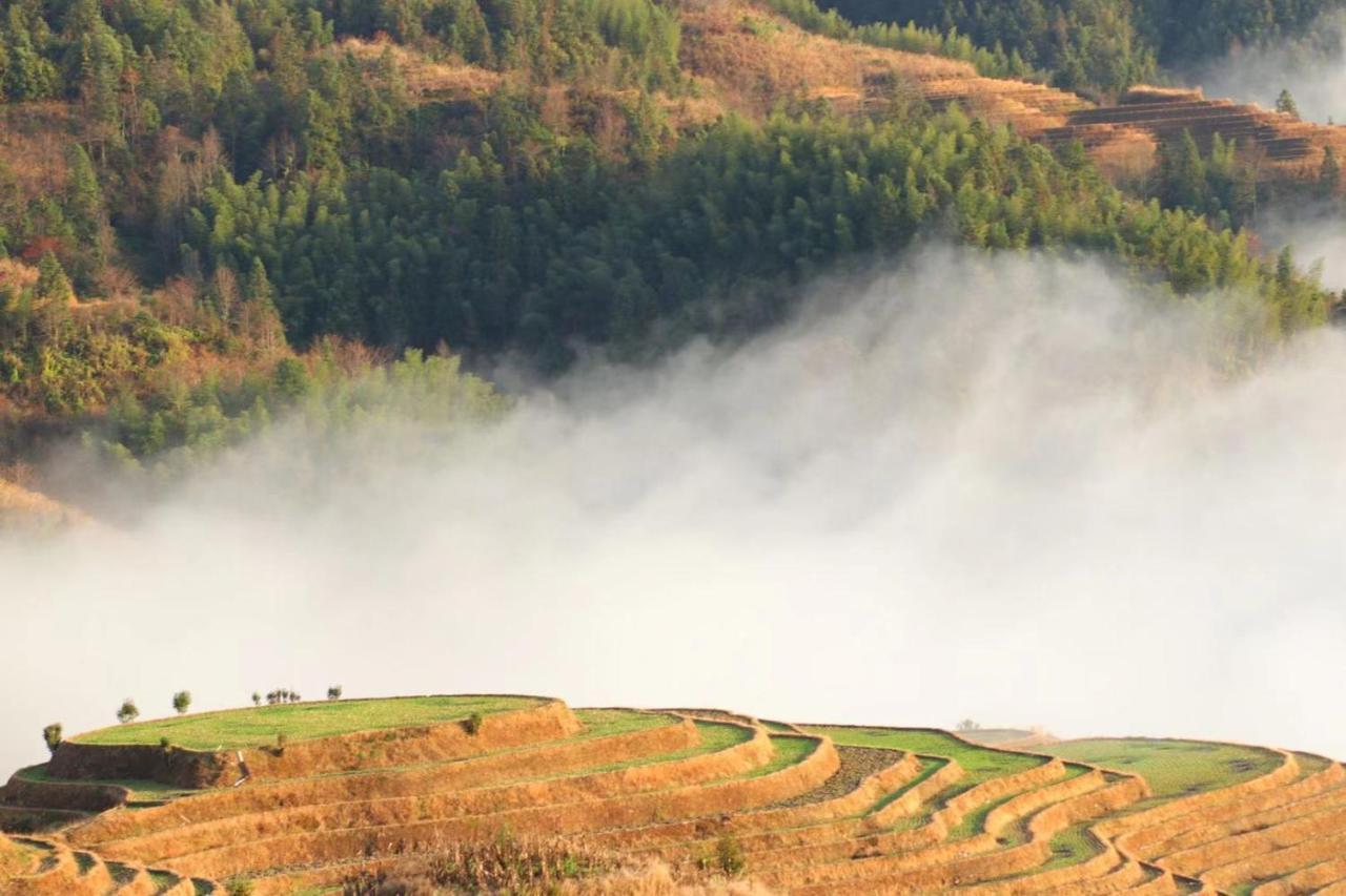 Rice View Villa Longsheng Extérieur photo